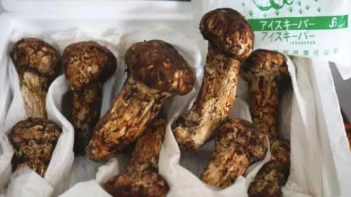 东莞特产餐厅排名前十(东莞十大老字号美食)插图31