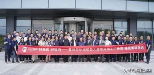 世界屠宰机械排名前十(兖州源顺屠宰机械有限公司)插图14
