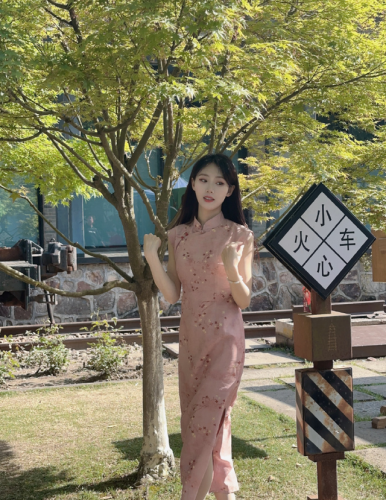 女装旗袍(旗袍女装大佬)插图7