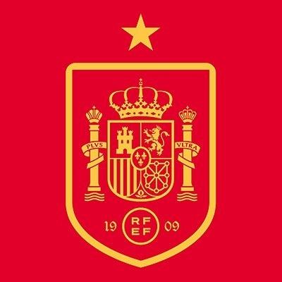 西班牙球员(西班牙世界杯冠军阵容)插图