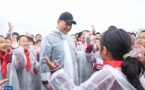 全球人工造林排名前十(植树造林人工价目表)