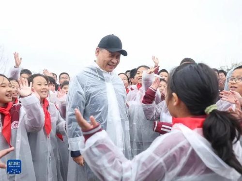 全球人工造林排名前十(植树造林人工价目表)插图