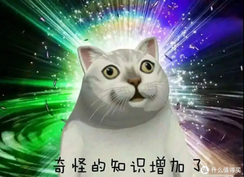 砂锅小厨品牌排名前十(明火砂锅什么牌子好)插图13