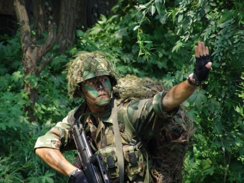 特种兵系列电视剧(2023特种兵新片)插图9