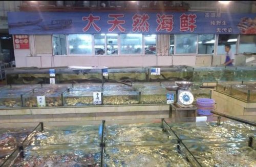 高州平价饭店排名前十(高州石仔岭辉记饭店)插图66
