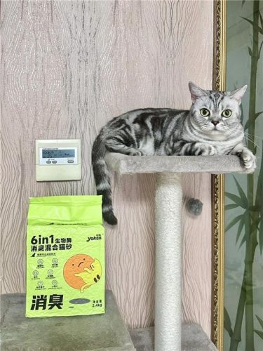 怡亲宠物(怡亲这个牌子怎么样)插图2