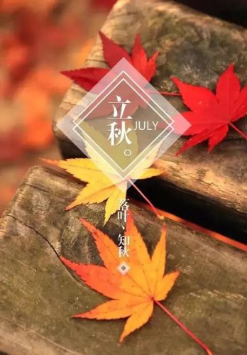 立秋图片大全高清(一叶知秋图片)插图23
