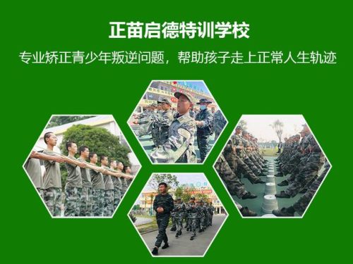 孝感封闭学校排名前十(孝感初中排名)插图