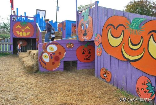 美国玉米农庄排名前十(玉米农庄)插图13