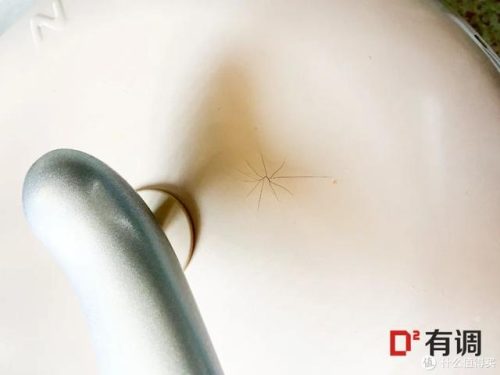 高端大气炒锅排名前十(大牌炒锅排名前十)插图49