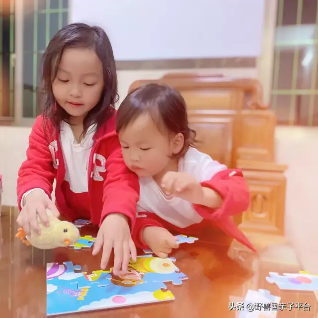 拼图最强品牌排名前十(最强大脑14巧板拼图法)插图