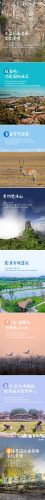 中国文化遗产资料(中国文化遗产作文400字)插图9