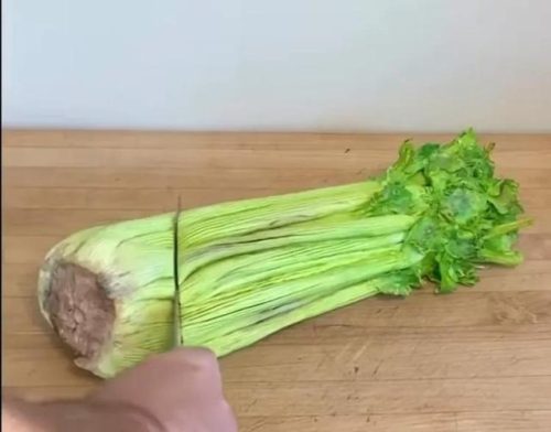 全球仿真蛋糕排名前十(中国最厉害的蛋糕是什么品牌)插图10