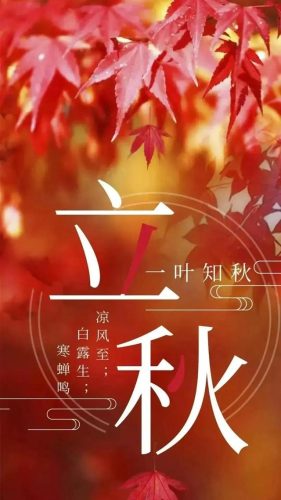 立秋图片大全高清(一叶知秋图片)插图24
