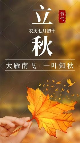 立秋图片大全高清(一叶知秋图片)插图9