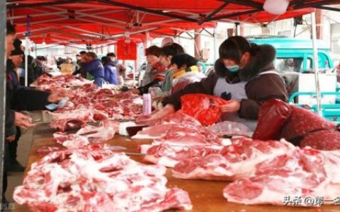 肉丁批发厂家排名前十(丁氏猪肉)