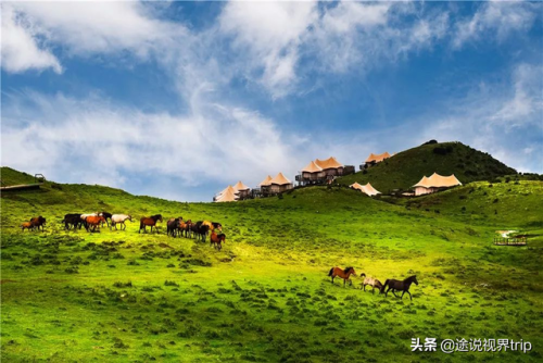 新疆顶级牧场排名前十(叶城二牧场)插图2