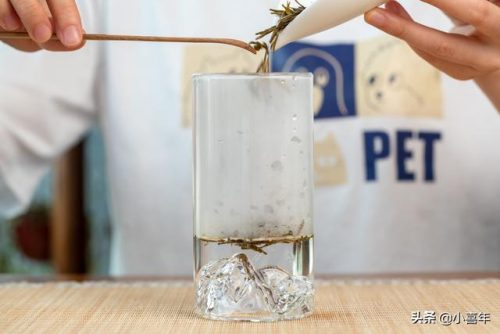 毛峰茶的泡法(信阳毛尖泡法)插图8