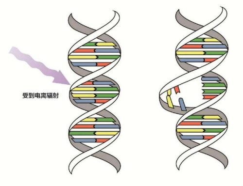 什么是核辐射(核辐射原理图)插图9