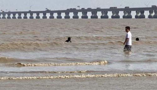 上海碧海金沙好玩吗(上海碧海金沙景区门票多少钱)插图13
