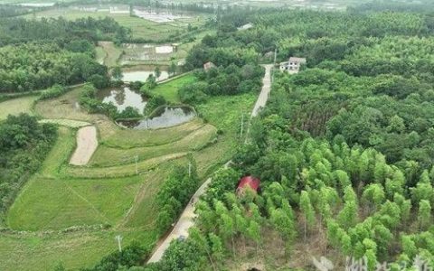 湖北养牛规模排名前十(湖北养牛补贴政策)
