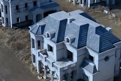 沈阳别墅出售(别墅60万一套沈阳)插图1