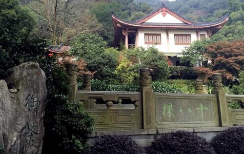 茶叶绿茶价位排名前十(绿茶叶品牌排行榜前10名)插图15