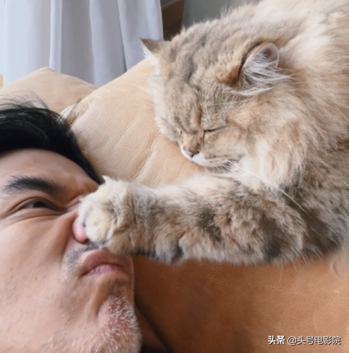 太极冯德伦(冯德伦综艺)插图33