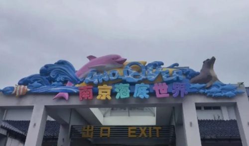 南京海底世界好玩吗(南京海底世界门票)插图