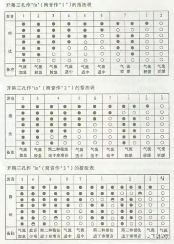 初学葫芦丝(九孔葫芦丝的利与弊)插图2