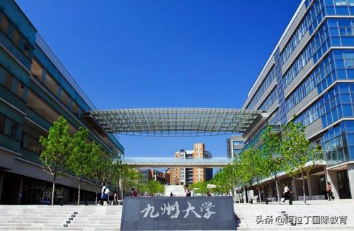 排名前十的日本留学(千叶大学)插图5