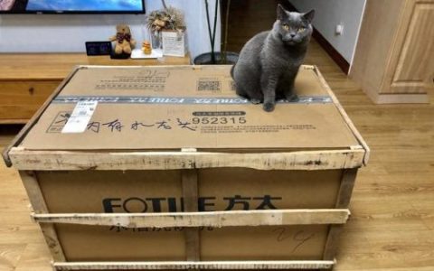 好孩子儿童用品(好孩子儿童用品有限公司)
