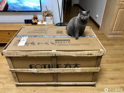 好孩子儿童用品(好孩子儿童用品有限公司)插图