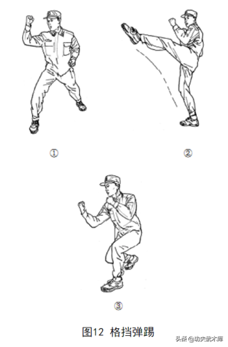 武警擒敌拳(擒敌拳20动分解动作)插图12