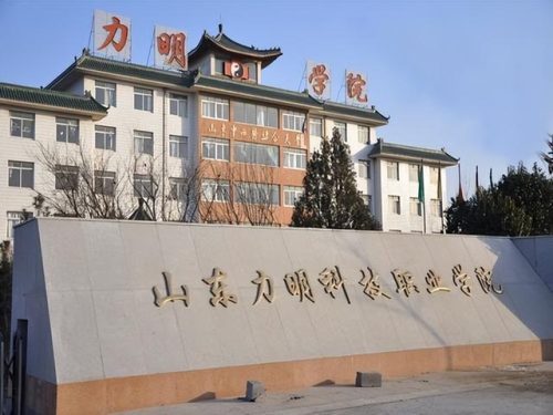 山东中专卫校排名前十(山东省理科类第一名大学)插图5