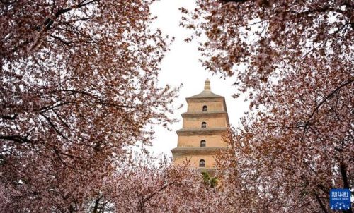 大雁塔简介(大雁塔喷泉开放时间)插图2