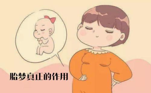 胎梦是什么(大富大贵的胎儿降世预兆)插图2