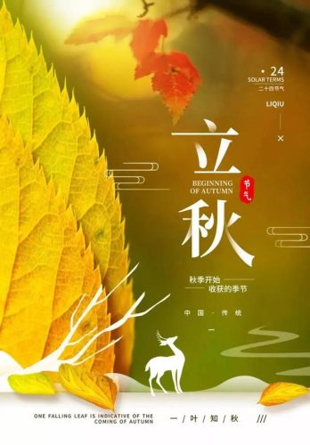 立秋图片大全高清(一叶知秋图片)插图22