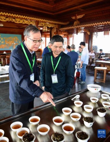 武夷岩茶(武夷岩茶大红袍)插图7