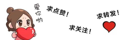 十代武术高手排名前十(沛县十大武术名人李居正)插图10