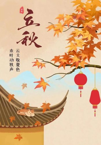 立秋图片大全高清(一叶知秋图片)插图16