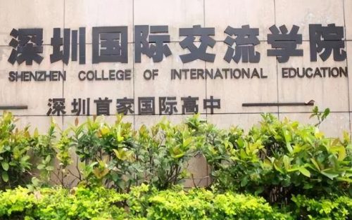 国际学校排名(为什么不建议孩子去私立学校)插图4