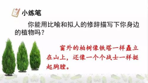 霜树尽空枝肠断丁香结(芭蕉不展丁香结同向春风各自愁)插图26