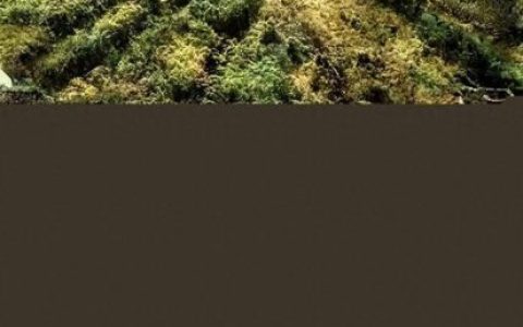世界历代文物排名前十(历代世界霸主一览表)