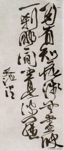 顶级形体大师排名前十(体态大师是什么)插图12