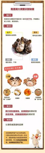 大闸蟹礼券(蟹都汇1000元礼券实际价格)插图3