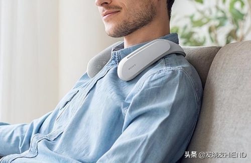 高端听歌音响排名前十(听歌1万左右音响)插图3