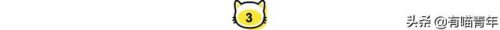 北大虐猫(北京大学学生流浪猫关爱协会)插图21