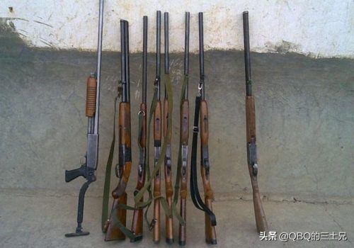 国内猎人枪支排名前十(中国步枪排名)插图