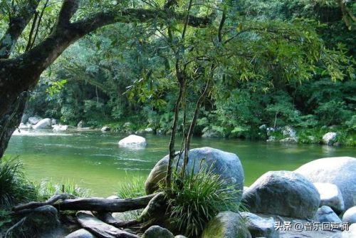悉尼潜水设施排名前十(悉尼最危险的十个区)插图47
